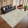 Bohemian Distressed Style Large Living Room Carpet Decoration Bedroom Non-slip Washable Luxury Rug Soft Fluffy Office Floor Mats