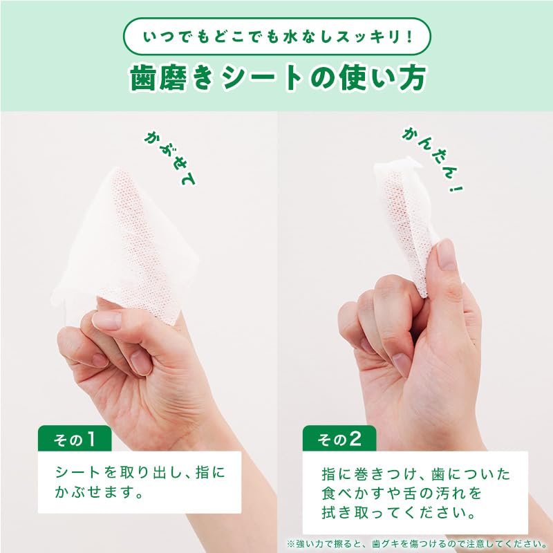 LEC Pocket Etiquette Portable Toothbrushing Sheets Made in Japan For and Illness Contains Xylitol Mint Scent (10 Sheets) / Disasters, Travel, / /