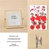 Nordic Creative DIY 3D Dried Flower Frame Kit - Simple Metal & Glass with Glue
