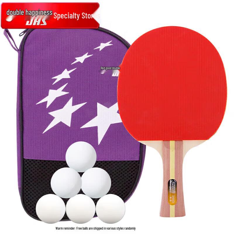 DHS H2002 Table Tennis Racket Set