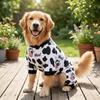 Ademende Vierpoot Hond Pyjama Zacht Comfortabel Hond Kalmerende Kleding Dagelijkse Slijtage