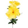 Bouquet of 5 Daffodils VW8236