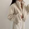 Fashion small Korean chic autumn and winter new temperament stand-up collar zipper imitation plush versatile short coat women's tide