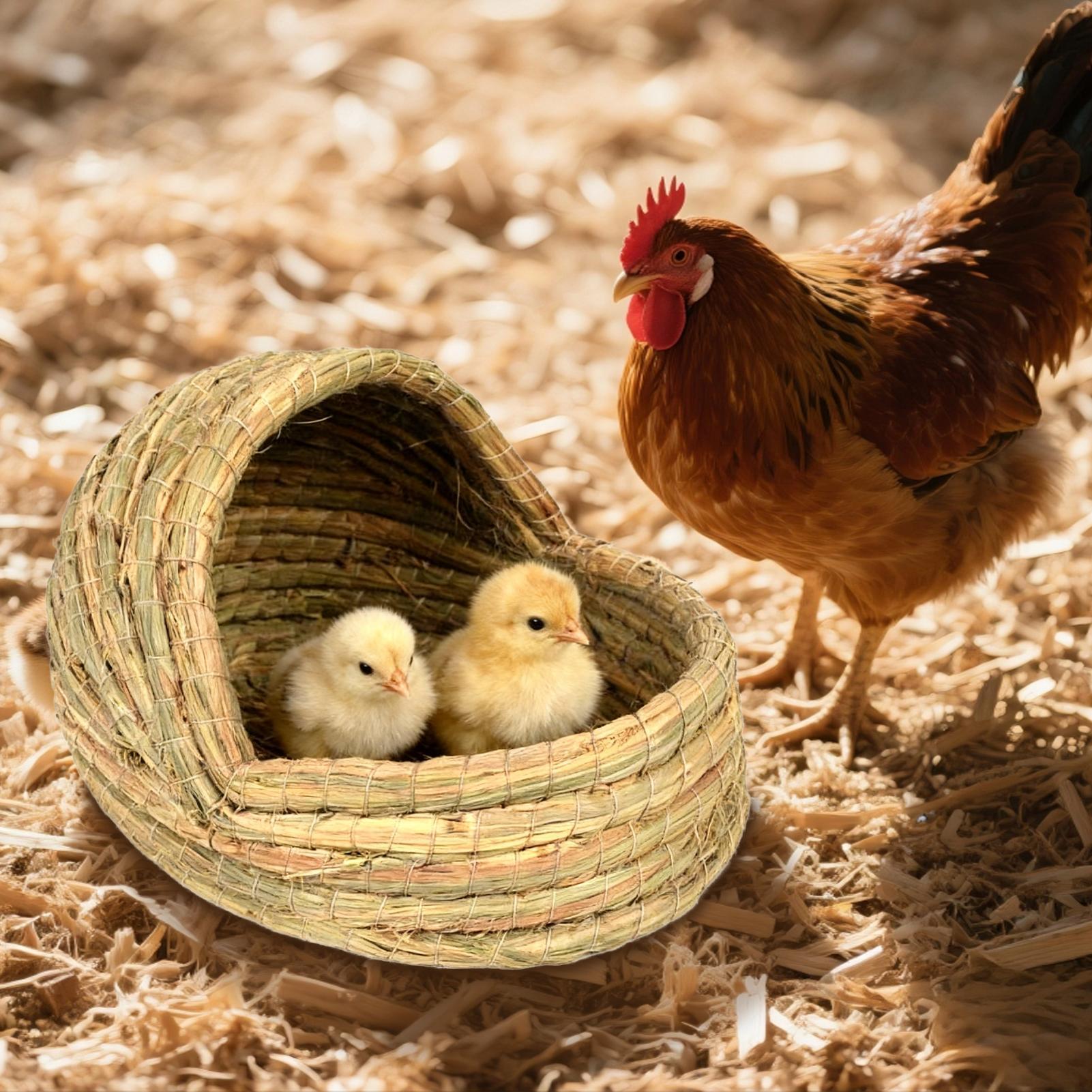 Куриное гнездо Плетеная соломенная форма тапочка Домик-гнездовье Клетки для хорьков Для мелких животных Клетка для птиц Курятник Ферма Разведение Кладка яиц S