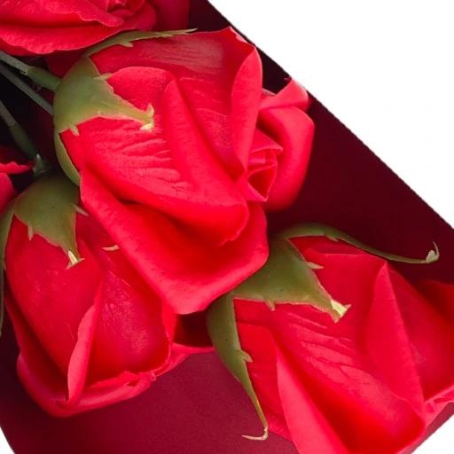 Bukiet Róż Flower Box Wieczna Róża Prezent Na Dzień Kobiet