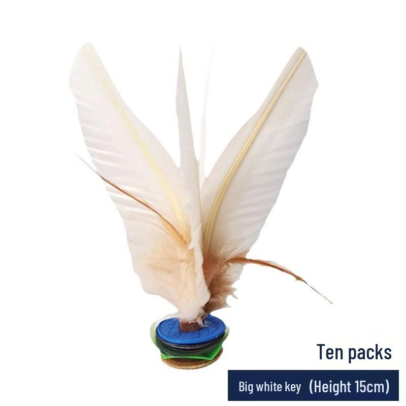 HaoJiaLi Goose Feather Fitness Shuttlecocks (10-Pack)