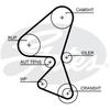 GATES Courroie De Distribution 5656XS