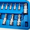 13pcs Torx Bit Socket Set, CRV Sockets, S2 Steel Bits, 1/4-inch (T8-T30), 3/8-inch (T40-T60) & 1/2-inch (T70) Drive, with Case