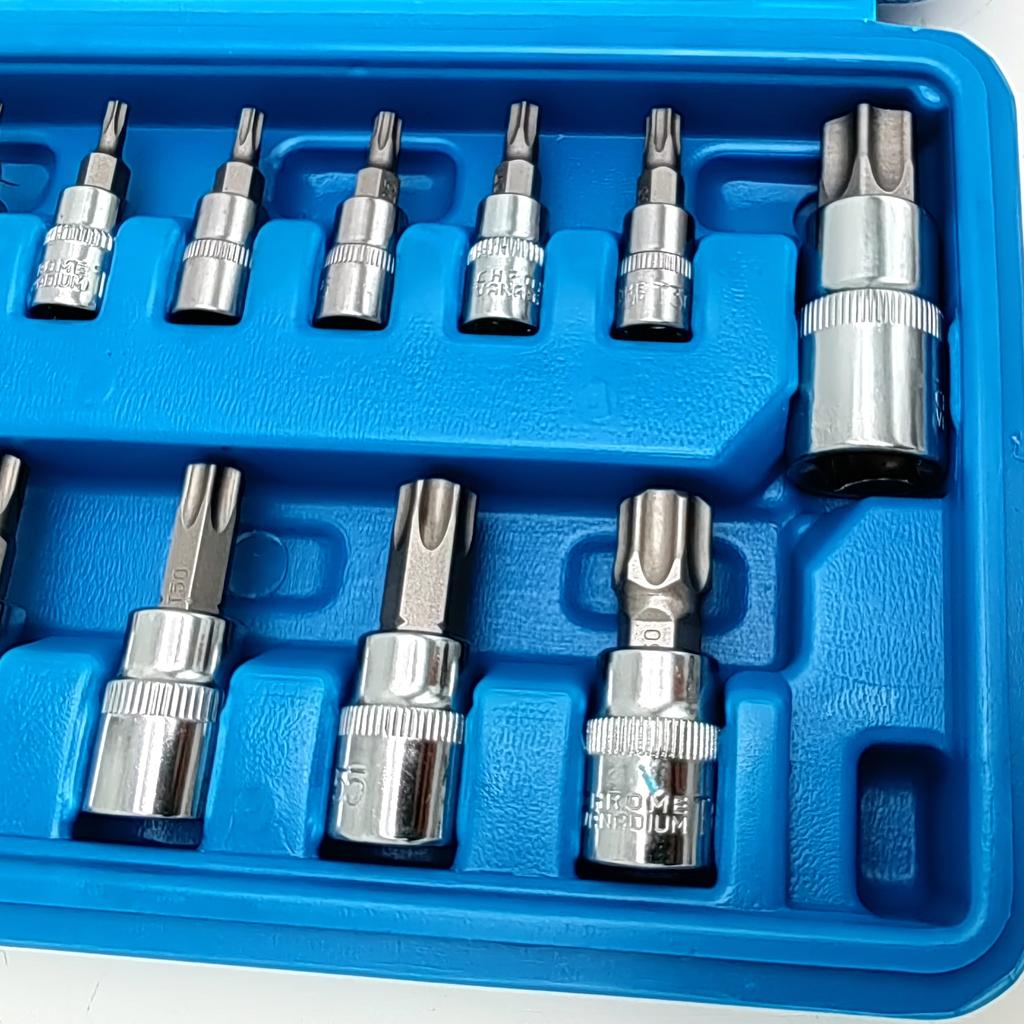 13pcs Torx Bit Socket Set, CRV Sockets, S2 Steel Bits, 1/4-inch (T8-T30), 3/8-inch (T40-T60) & 1/2-inch (T70) Drive, with Case