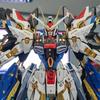 MGEX MG Head Strike Freedom Gundam Modification Parts Exclusive ZGMF-X20A Mobile Suit Gundam SEED Destiny Detail Up 1/100 AKO Hobby 0SFHD