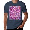 Succulent  Purple Palette Tshirt Functional Casual Short Sleeve Tee Tshirt