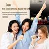 SAST A66 Home KTV Karaoke Microphone Speaker System CN plug (adapter included)