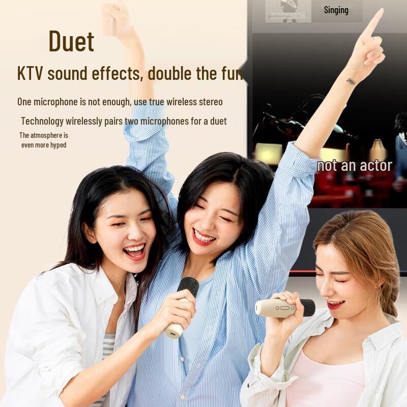 SAST A66 Home KTV Karaoke Microphone Speaker System CN plug (adapter included)