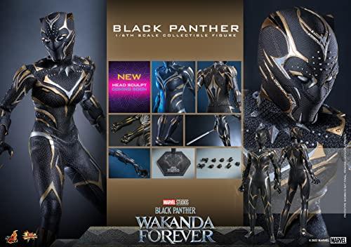 Hot Toys Movie Masterpiece Black Panther/Wakanda Forever 1/6 Scale Figure