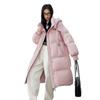 Duck Down Simple Casual Hooded Pinghu Down Jacket Women's Winter New Loose Long Warm Jacket Tide