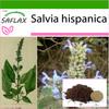 Mexická Chia - 500 semen - Se substrátem do květináče pro lepší pěstování - Salvia hispanica