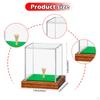 Golf Ball Stand Box Storage Dustproof Showcase Multifunctional with Tee Wooden Base for