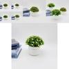 Artificial Starry Sky Hemisphere Plant Pot With Plastic Material For Wedding Decor And Indoor Garden