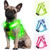 Light Up Dog Harness for Small Dogs Rechargeable, LED Dog Vest Harness, Adjustable Illuminated Glow In Dark Dog Harness for Puppy Night Safety