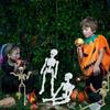 Educational Skeleton Model Figure, 9cm Articulated Human Anatomys Model Display Bring Unforgettable Experience
