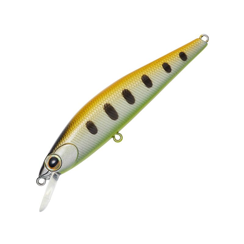 

DAIWA Lure Doctor Minnow 2 42F CB Glow Yamame