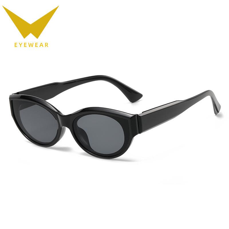 Personalized Sunglasses Retro Hip Hop Oval Sunglasses Street Shot Trendy Sunglasses