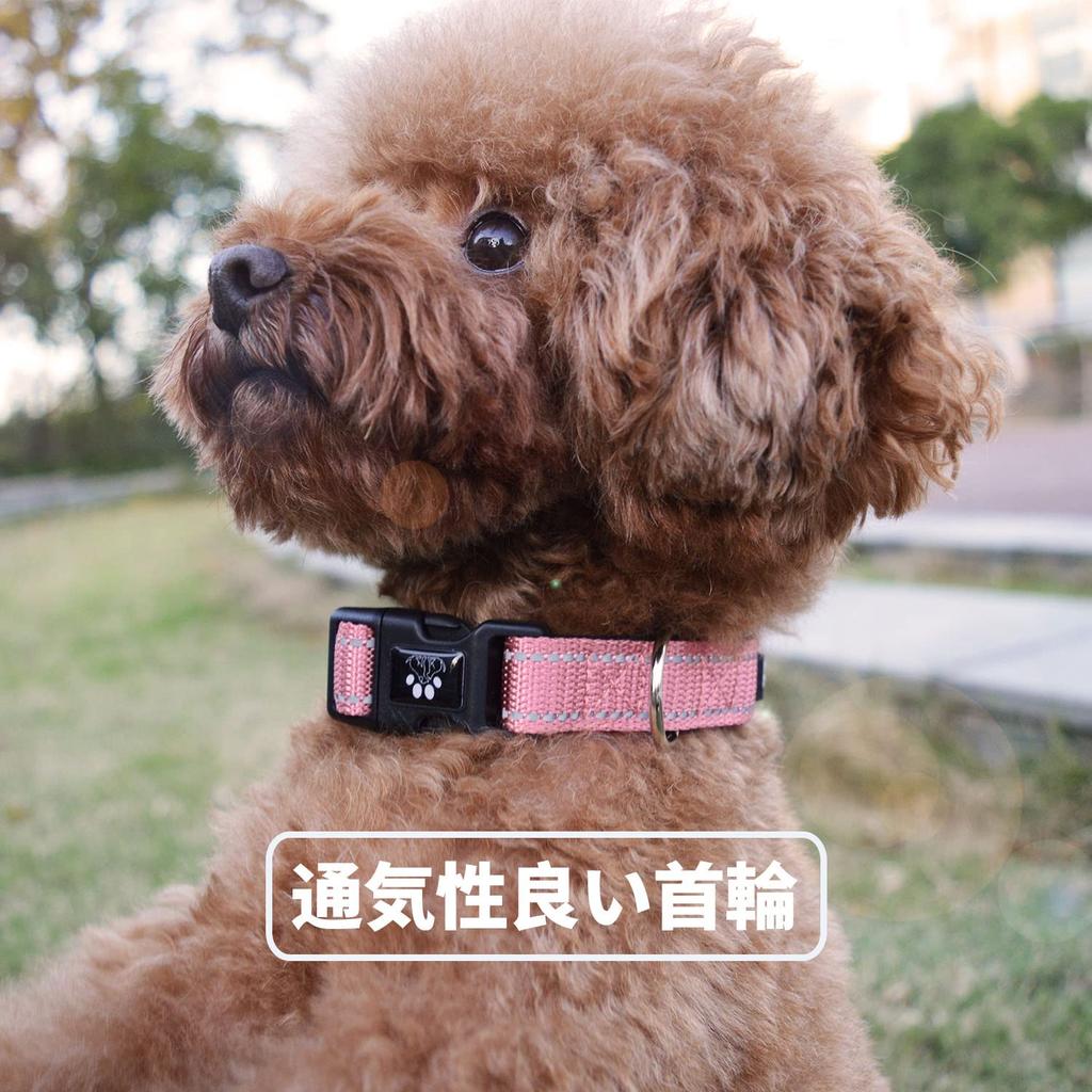 NESTROAD Dog Collar and Lead Night For Medium and Large Suitable for All Comes with For Walking and Easy to Dog Set, Adjustable, Reflective, Small,