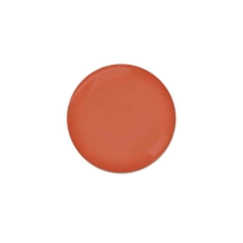 Rausch Willowbark Special Shampoo 200ml