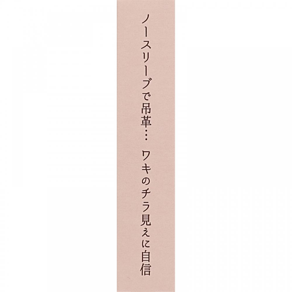 Himecoto Liberta Shiraaki Princess R1 18g