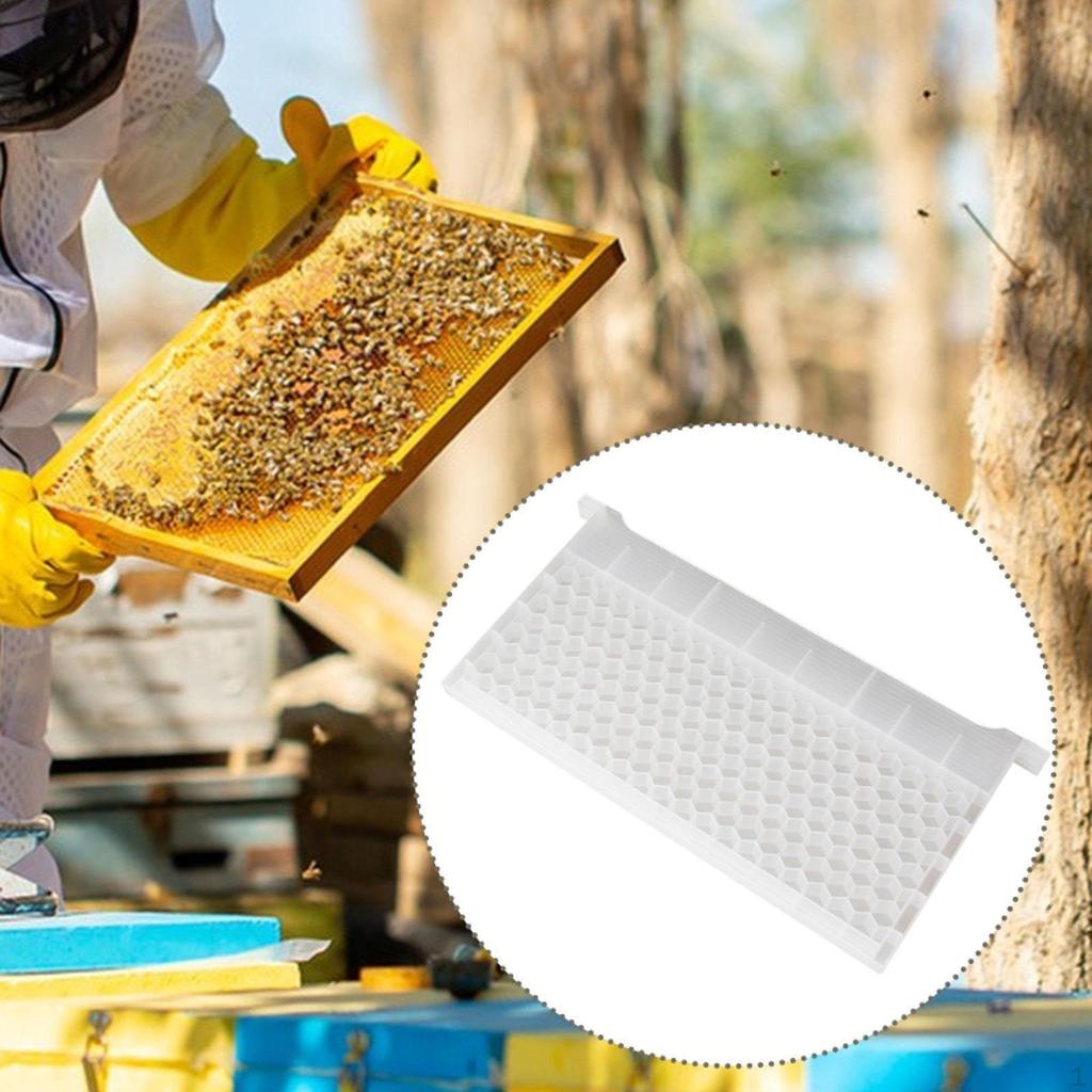 Beehive Bee Feeder Beekeepings Pollen Supplies Accessories Professional Convenient Multi Hole