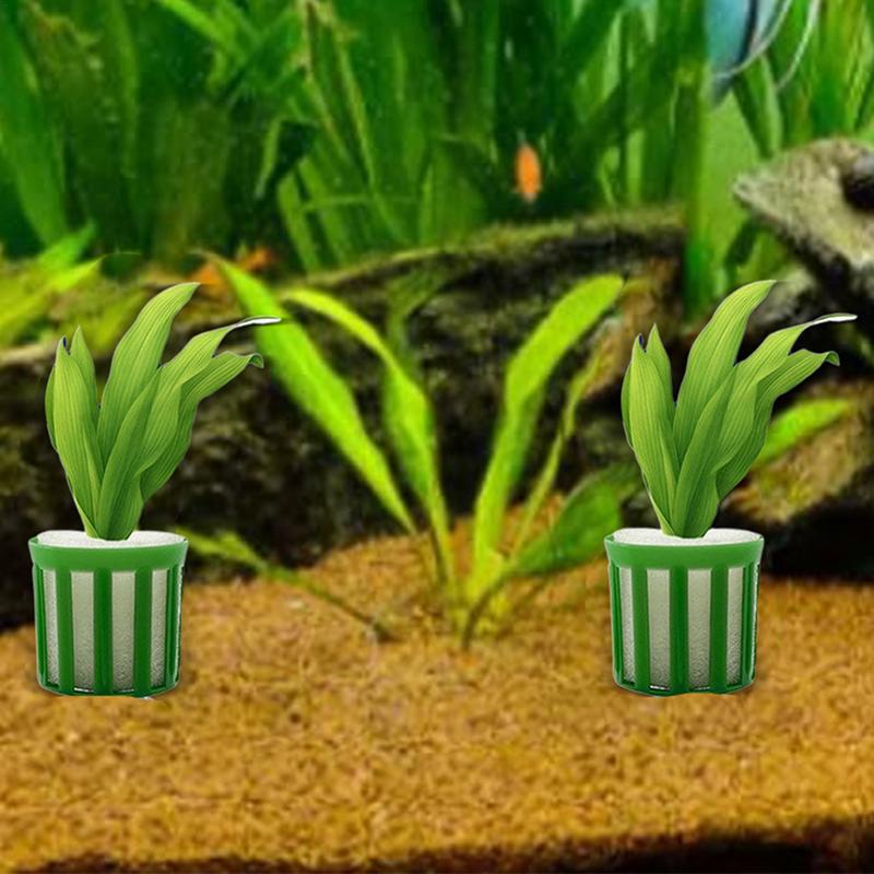 Pflanzen Fixierring Set Für Aquatik 10 Stück Fischbecken Wasserpflanzen Fixierring Aquarium Pflanzenkorb Landschaftsdekoration