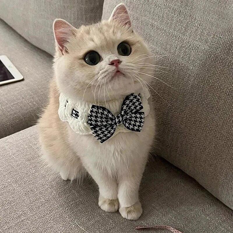 

Жемчужный кошачий ошейник, милый щенок, котенок, лента, шарф, подвеска, банты для домашних животных, ожерелье, галстук-бабочка для домашних животных, подарок, слюна для домашних животных, полотенце, аксессуары для кошек