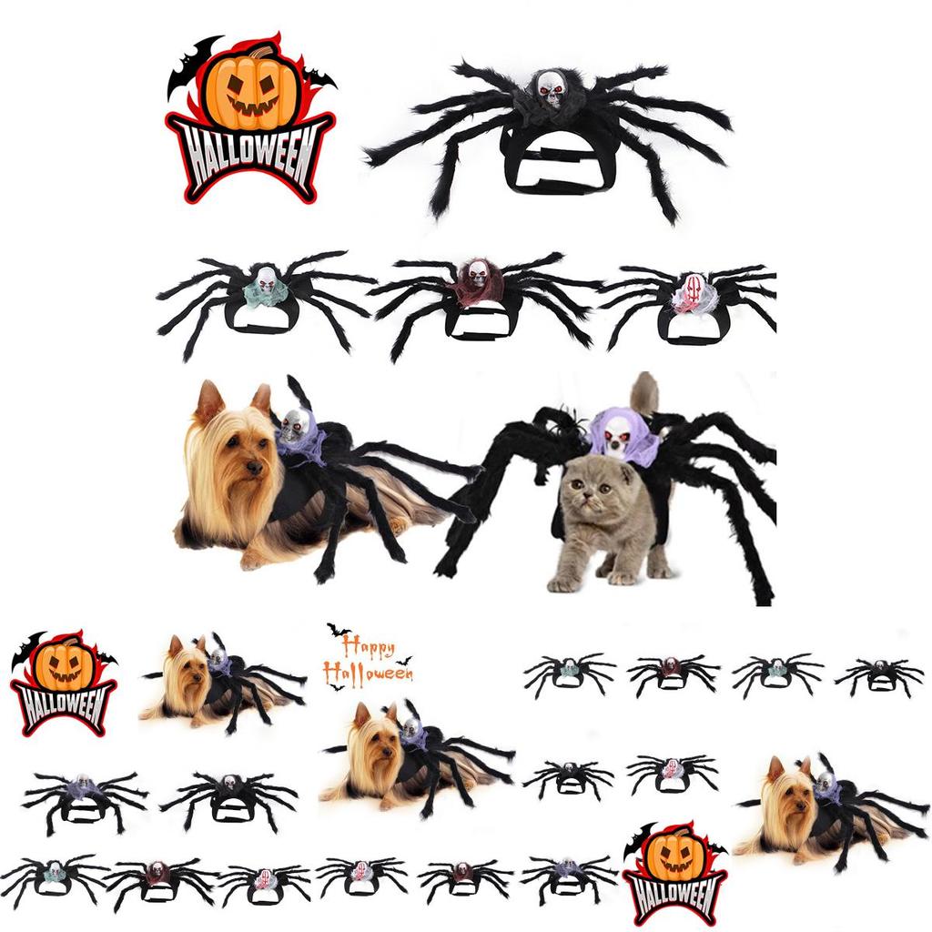 Cute Pet Spider Costume For Halloween Party