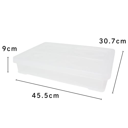 Sanko Plastic (SankoPlastic) Made In Japan Food Container, Foodtainer with Lid, No. 2, Clear, 552081