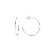 Rhodium-plated Luxenter Earrings - Nemar