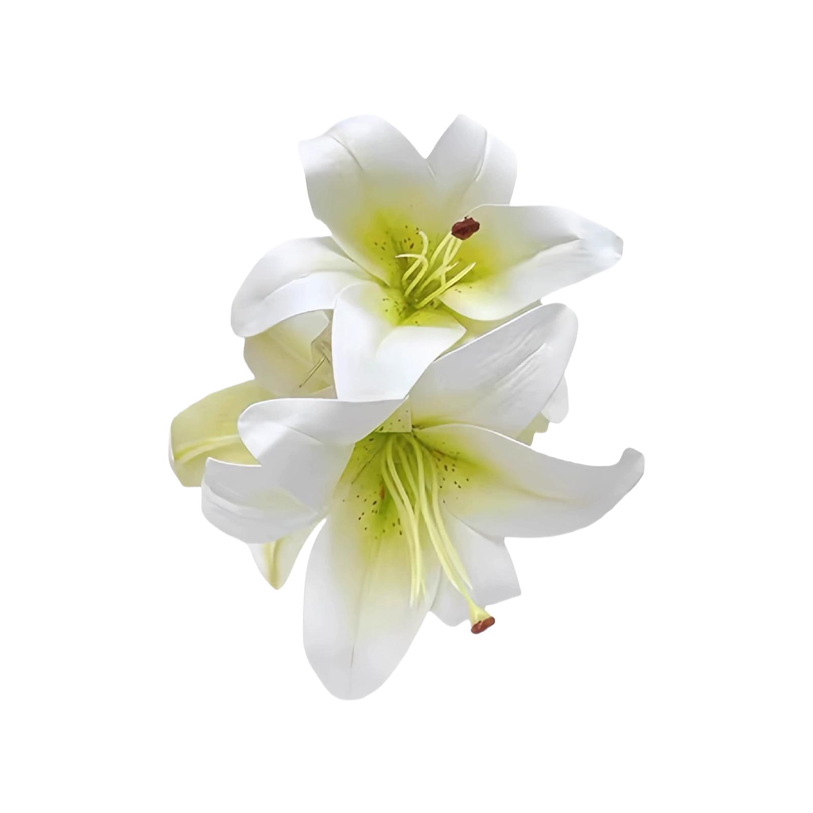 

Элегантный цветочный зажим-краб для волос для женщин и девушек, надежная фиксация, аксессуар для укладки, пластиковое украшение для волос для свадебной вечеринки белый