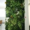 40X60cm Artificial Plants Grass Wall Panel Boxwood Hedge for Outdoor Home Garden Fence Jungle Decoration Fake Plant Landscape