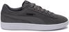 Puma Smash V2 Sneakers Casterock/puma Black/white