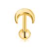 ASTM F136 G23 Titanium Snake Bee Drop Threadless Piercing Moon Cross Push In Labret Stud Flower Leaf Pin Daith Conch Earring 16G