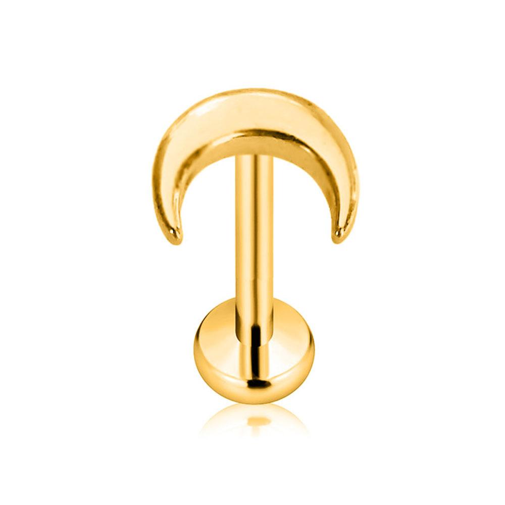 ASTM F136 G23 Titanium Snake Bee Drop Threadless Piercing Moon Cross Push In Labret Stud Flower Leaf Pin Daith Conch Earring 16G