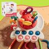 Interactive Pull Toy Game Desktop Game Toy Birthday Gift Press Toy for Toddler