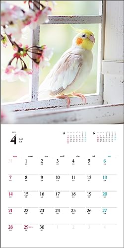 2024 Calendar Cockatiel (Seibundo Shinkosha Calendar)