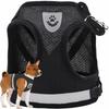 Harness With Leash 120Cm Xs Black (150) Gab_A
