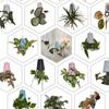 plastic Inverted Sky Garden Hanging Pot 360-Degree Rotation Upside Down Planter Flowerpot  Garden