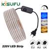 220V LED-strip med lysdæmper EU/UK/AU-stik Varm Hvid Blå Høj Lysstyrke 120 LED'er/M Vandtæt 3104 Bånd LED Lys Hjem Bar Dekoration