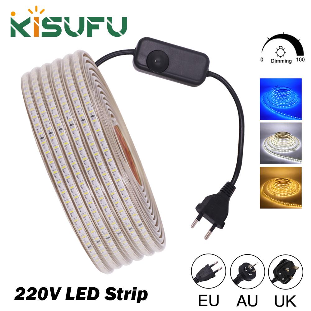 220V LED Strip With Dimmer EU/UK/AU Plug Warm White Blue High Bright 120LEDs/M Waterproof 3104 Ribbon LED Light Home Bar Decor