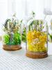 Preserved Flower Glass Dome DIY Kit for Handmade Decoration and Gifts