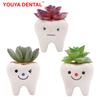 Dental Tooth Shape Flower Vase Home Decoration Pot Creative Garden Planter Pot Ceramic Pen Holder Cute Dentistry Dentist Gifts