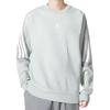adidas Sweatshirts Men's Light Green Crew Neck Moderate Regular HK4564