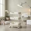 Beauty Salon Trolley Mobile with Wheels Large Storage for Spa